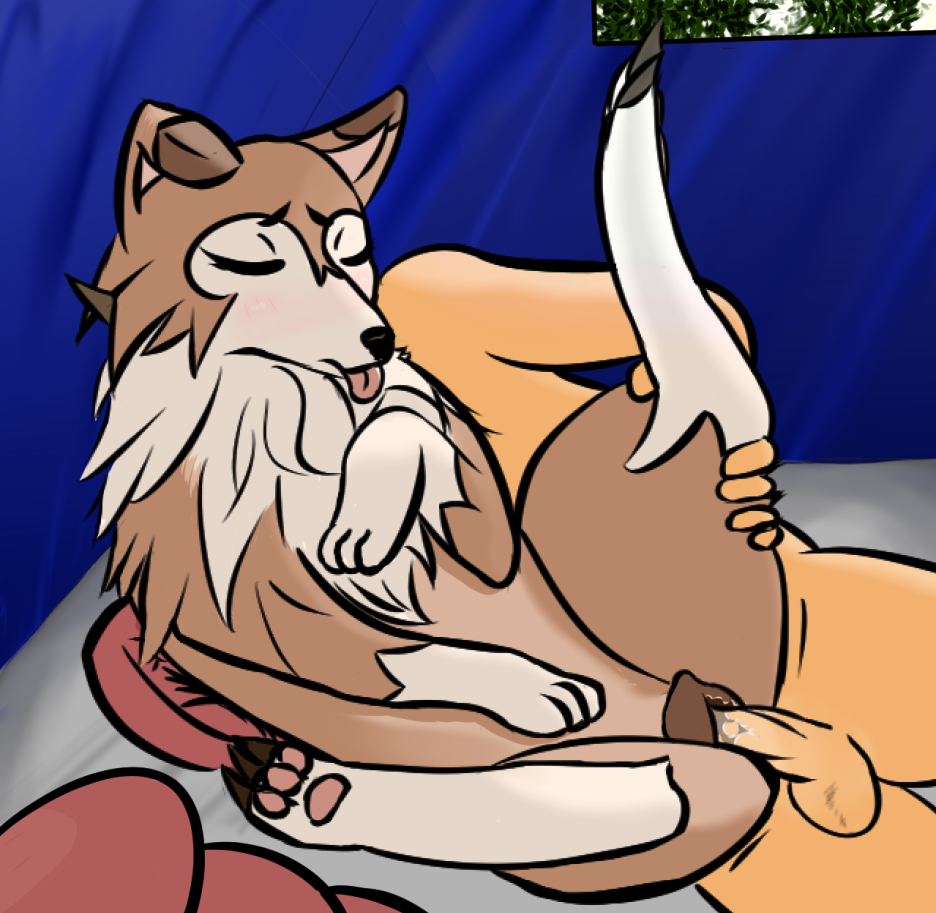 Фурри wingedwolf94 кости хентай