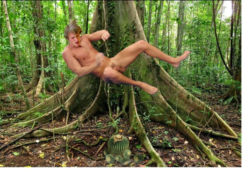 Лиэнн Рэдклифф джунгли sex