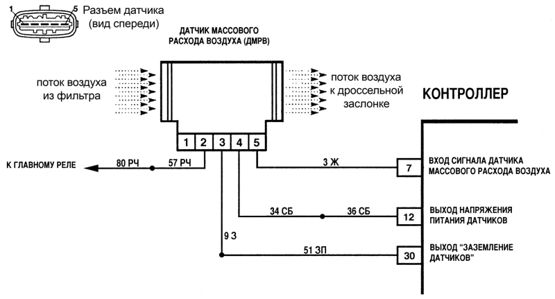Азиатский индийский слон