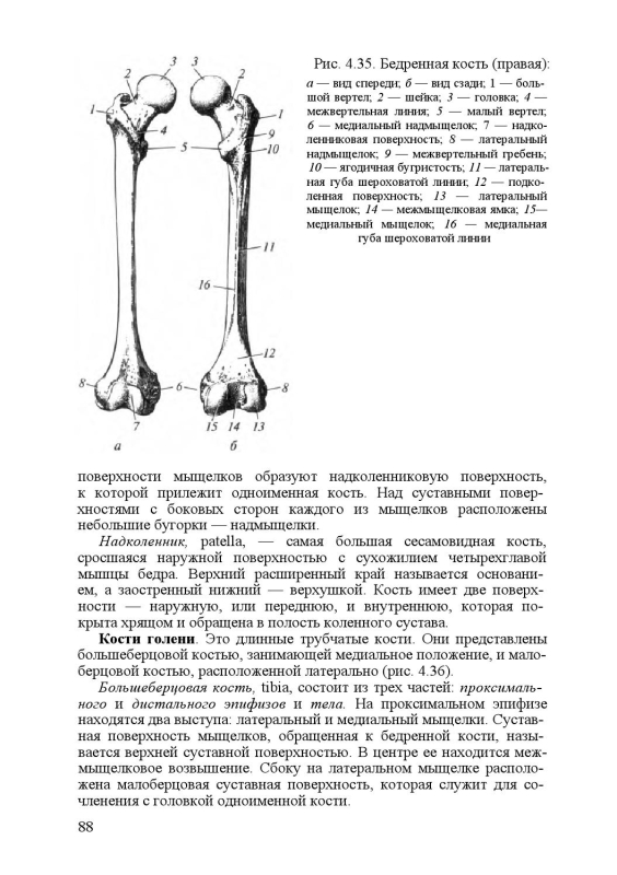 Атолл бикини на карте