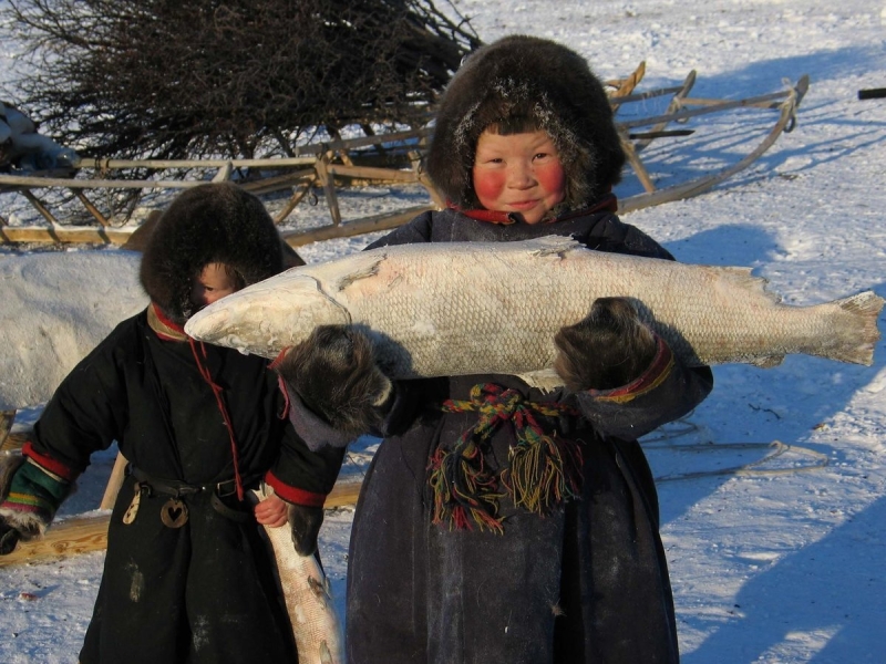Ханты, манси, Коми, селькупы, ненцы