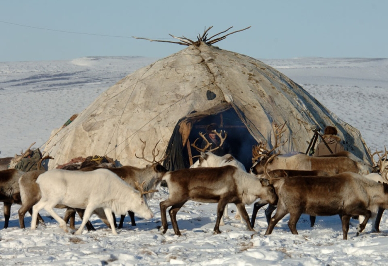 Яранга Коряков
